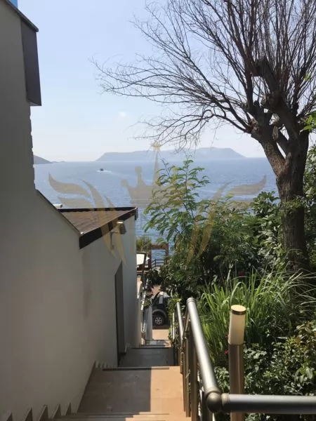  Dış Mekan,