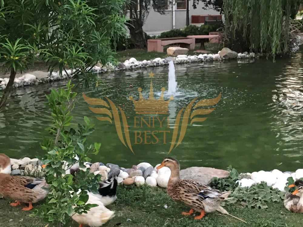  Dış Mekan, Bahçe,