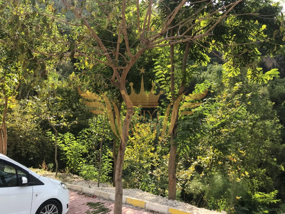 Dış Mekan,