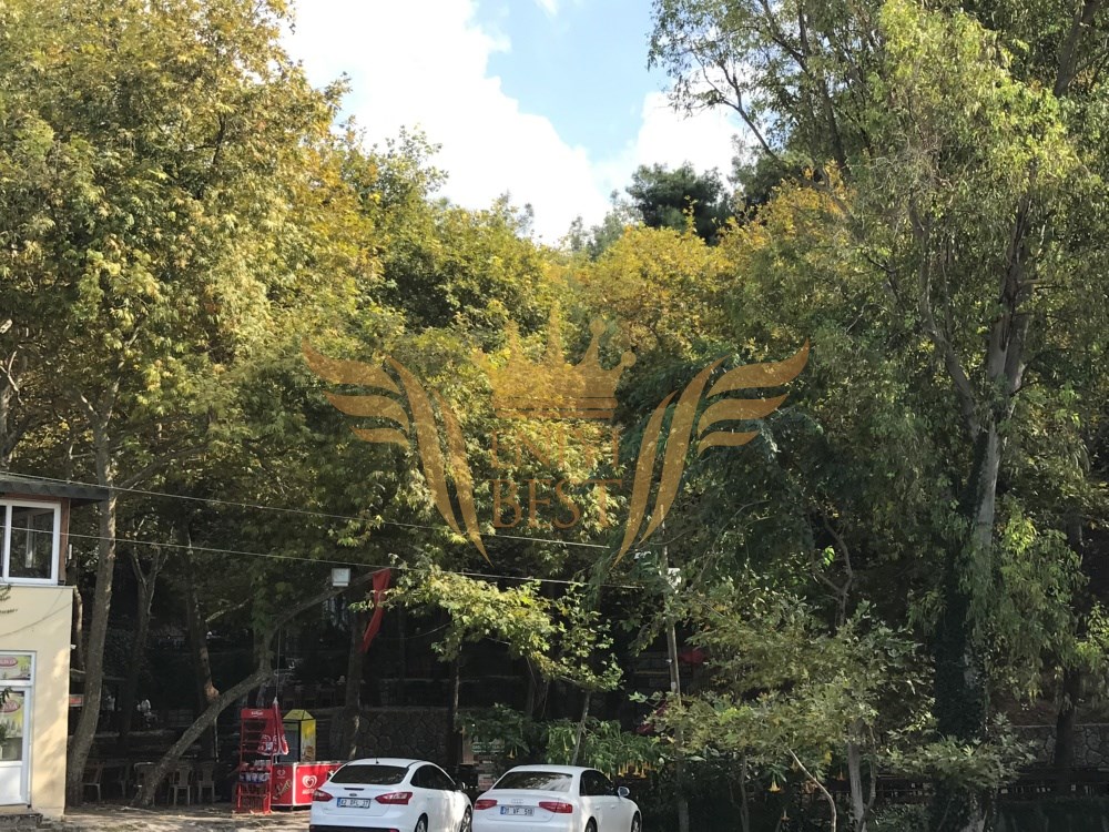  Dış Mekan,
