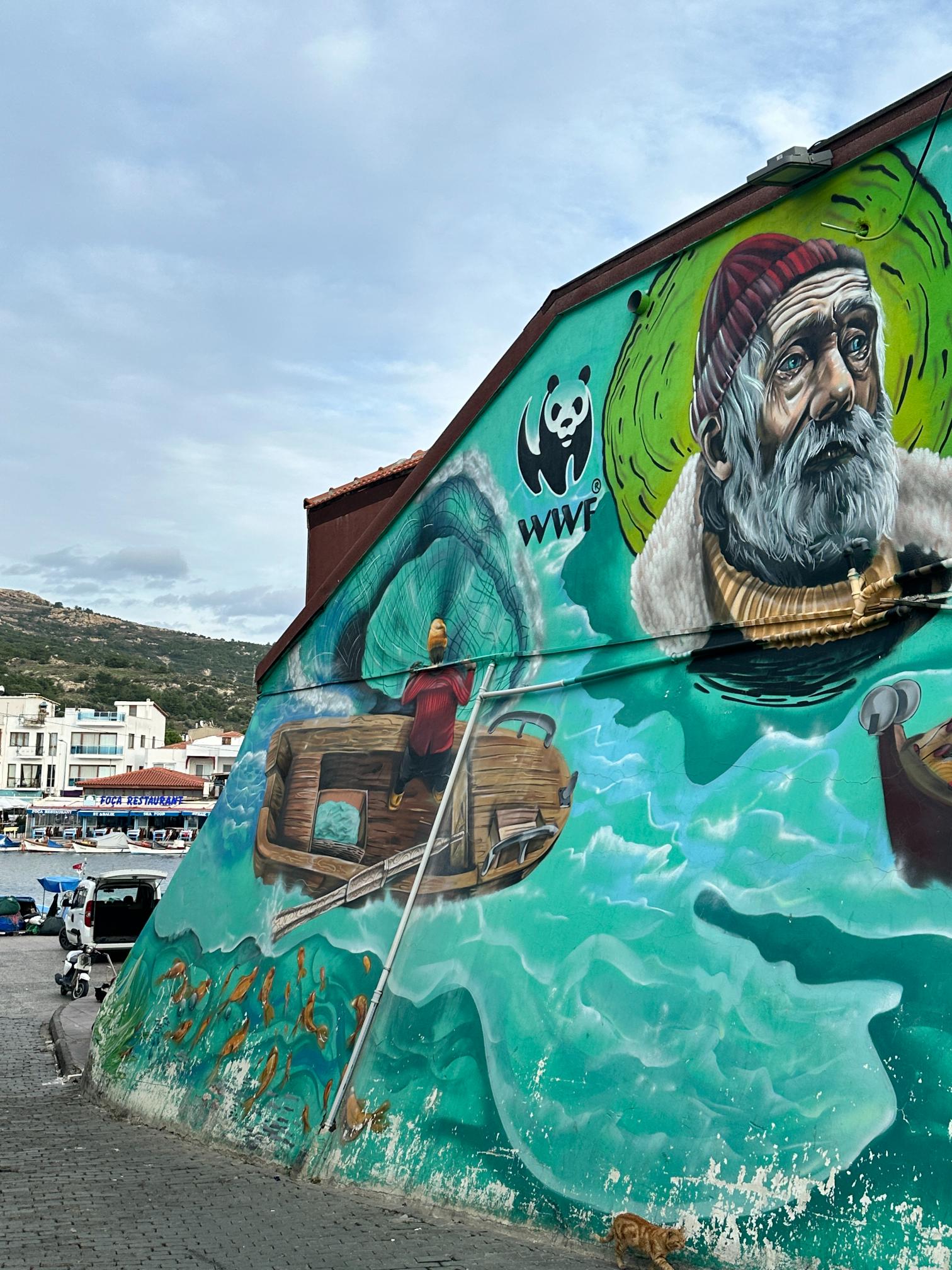  Dış Mekan, Dekorasyon,