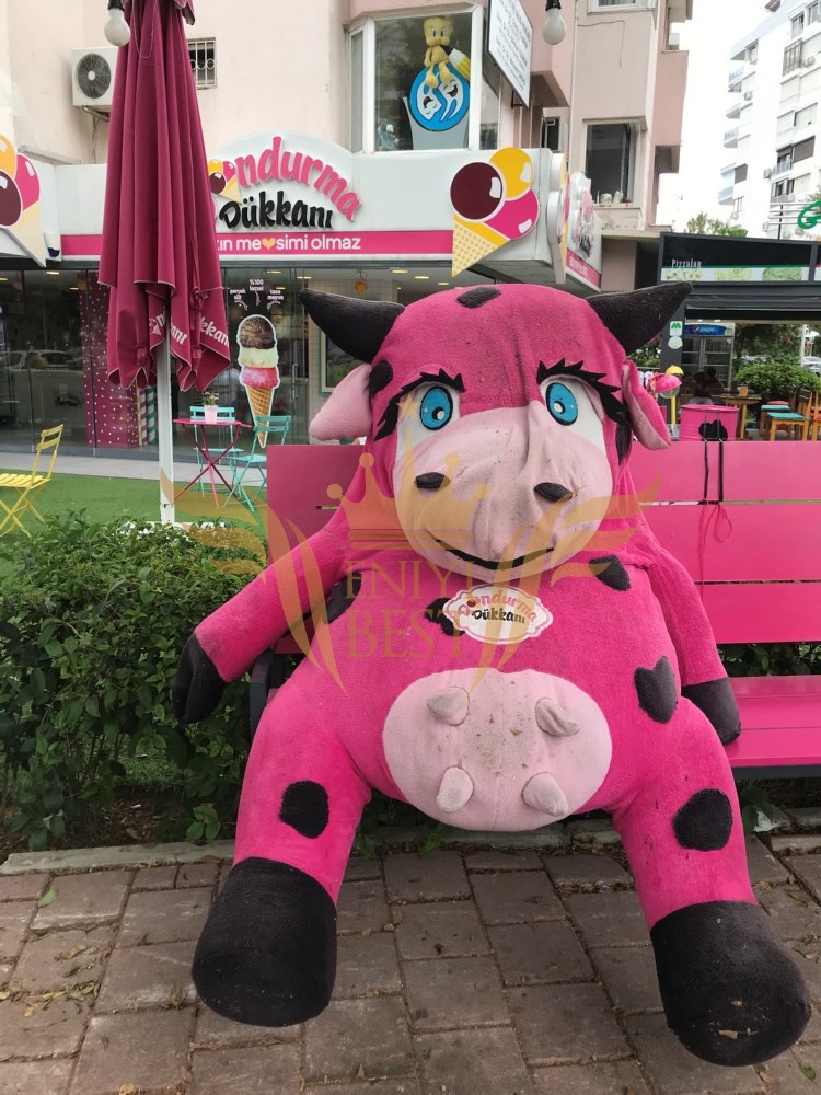  Dış Mekan,