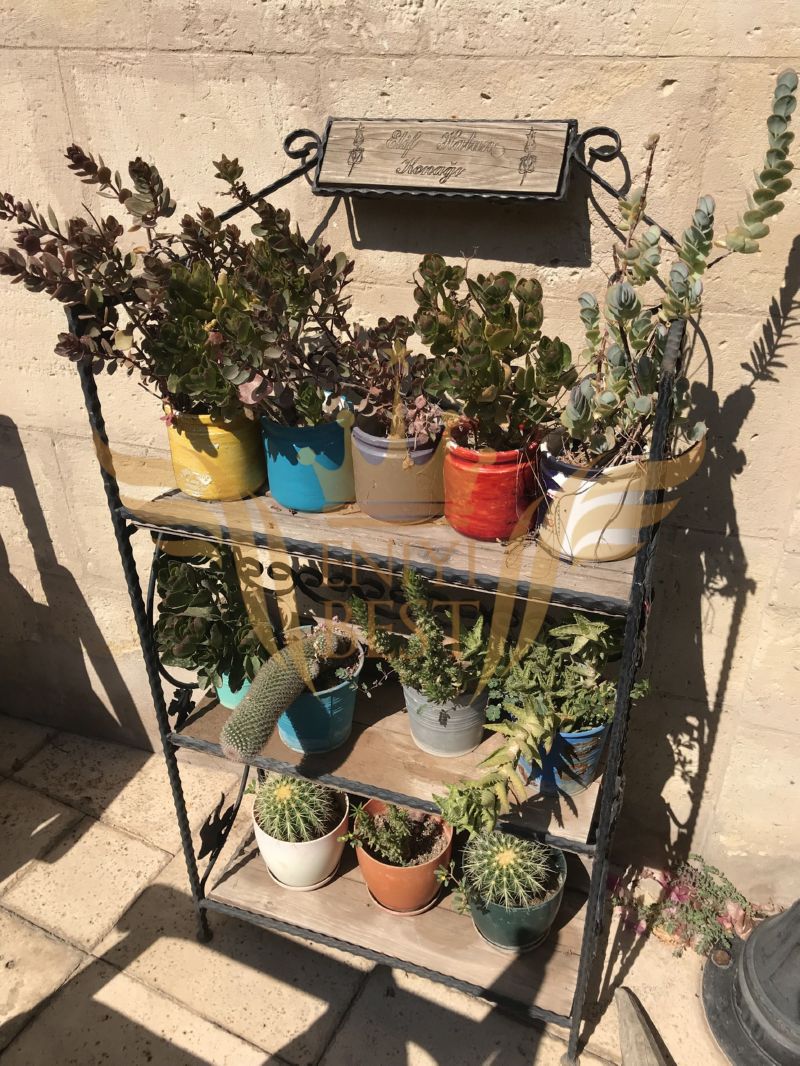  Dış Mekan, Bahçe,