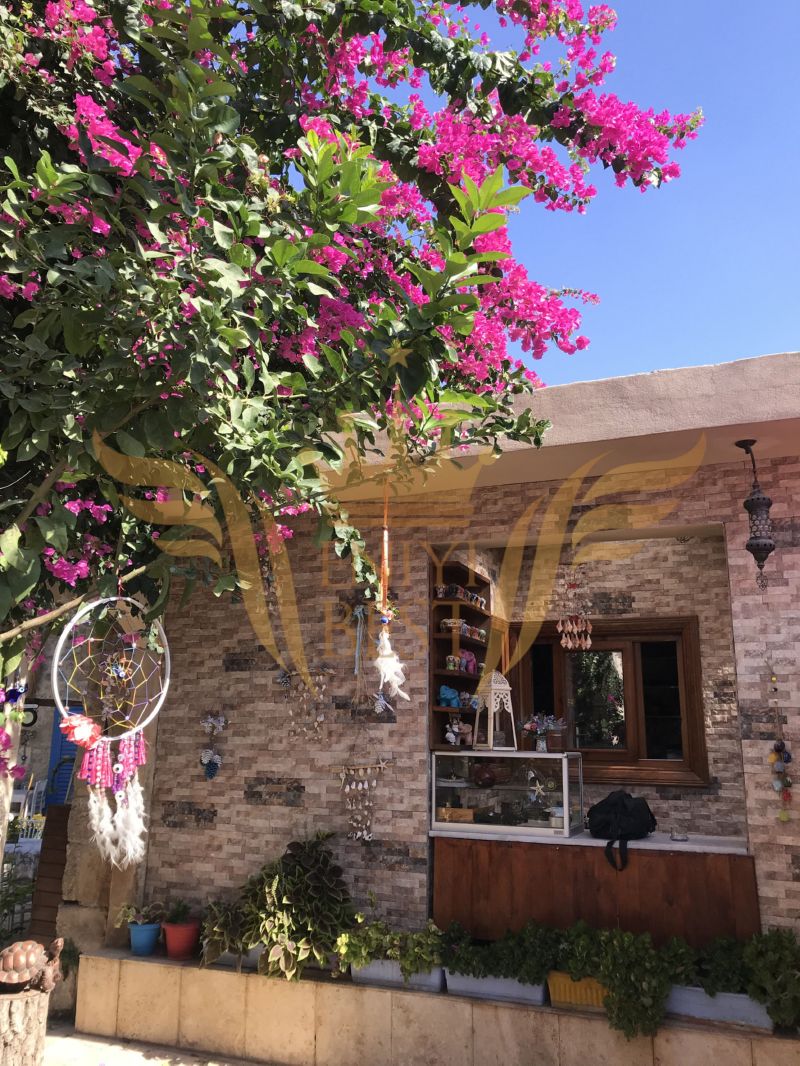  Dış Mekan, Bahçe,