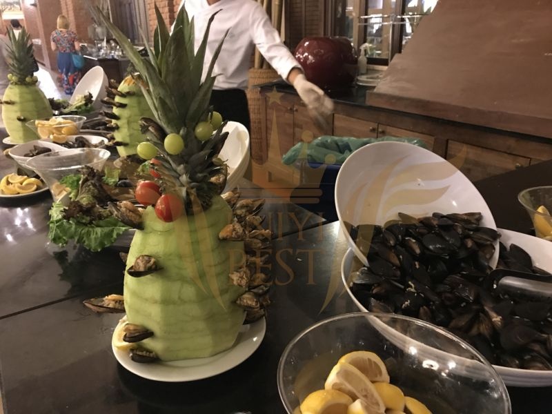  Restoran, Açık Büfe,