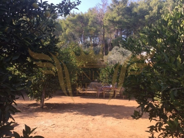  Dış Mekan,
