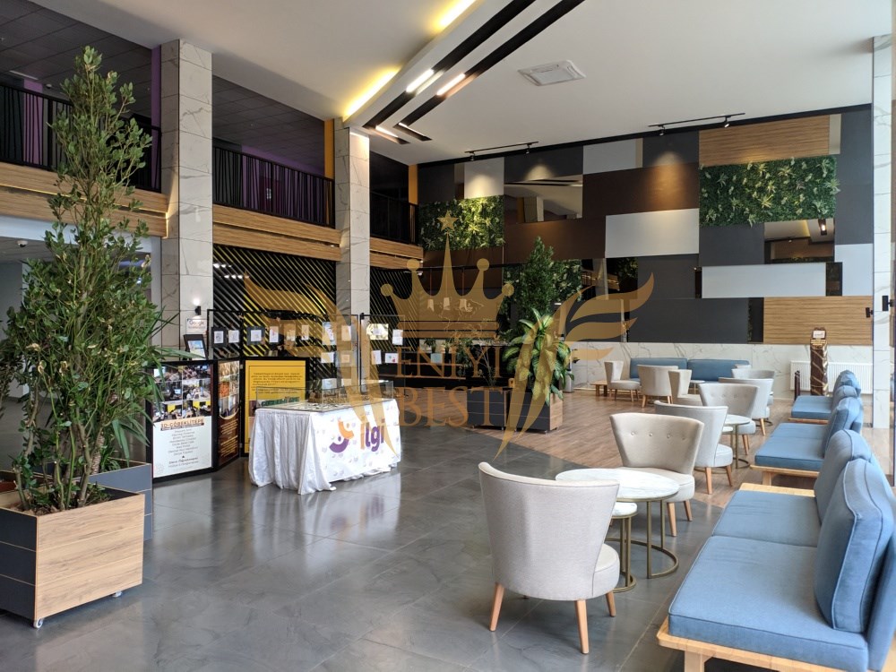 Cafe,
