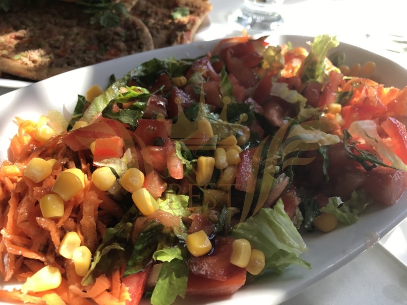  Yiyecek, Salata,