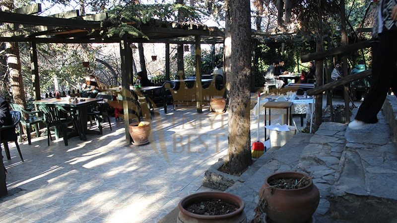  Dış Mekan,