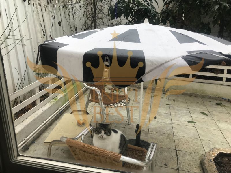  Dış Mekan, Kedi 